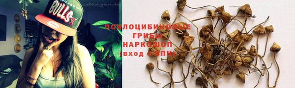 гашик Верхнеуральск